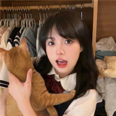 双探